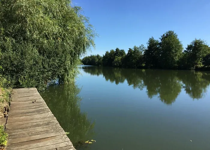 The Salt House * Avoise