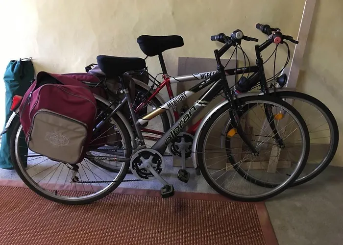 The Salt House * Avoise